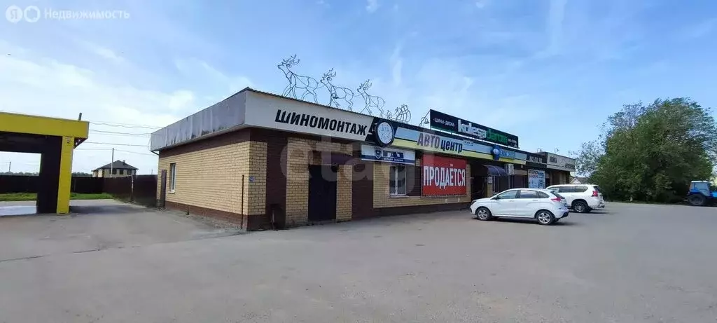 Помещение свободного назначения (516.79 м) - Фото 0