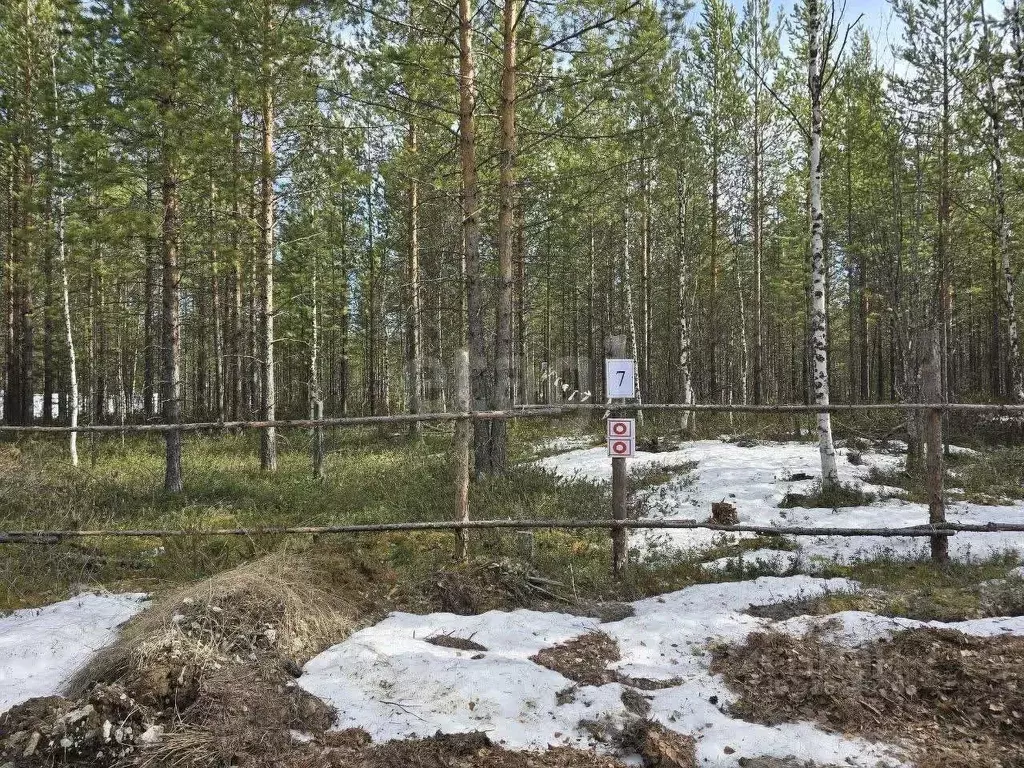 Участок в Ханты-Мансийский АО, Сургутского муниципального района тер., ... - Фото 0
