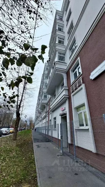 2-к кв. Пермский край, Пермь ул. Циолковского, 19 (37.5 м) - Фото 2