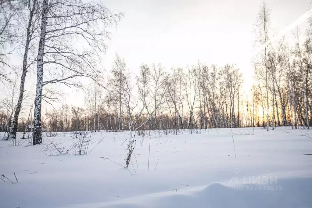 Участок в Новосибирская область, Искитимский район, Быстровский ... - Фото 1