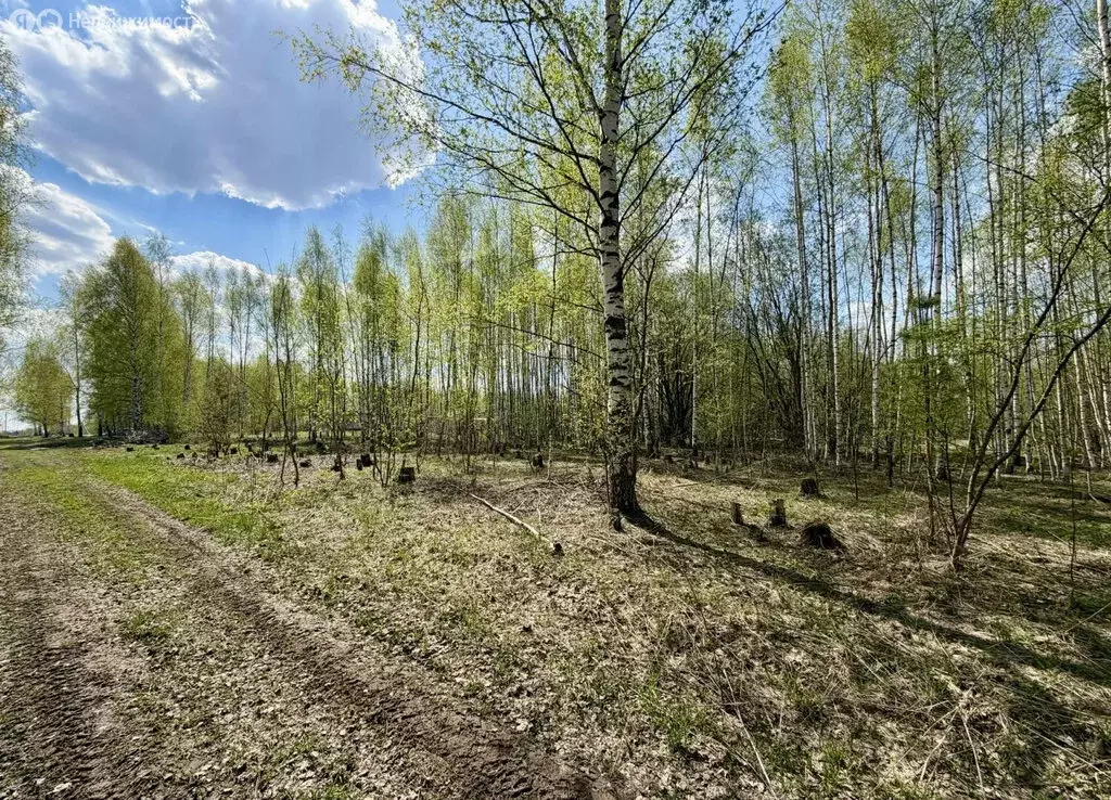 Участок в село Елховка, ТИЗ Елховка, Урожайная улица (15.13 м) - Фото 2