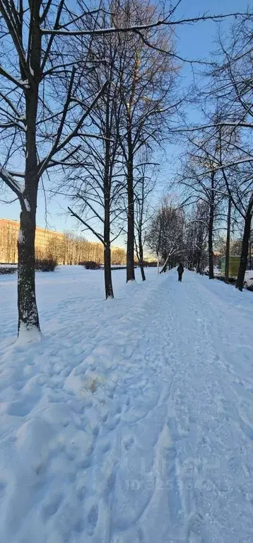 1-к кв. Санкт-Петербург бул. Красных Зорь, 12 (30.48 м) - Фото 2