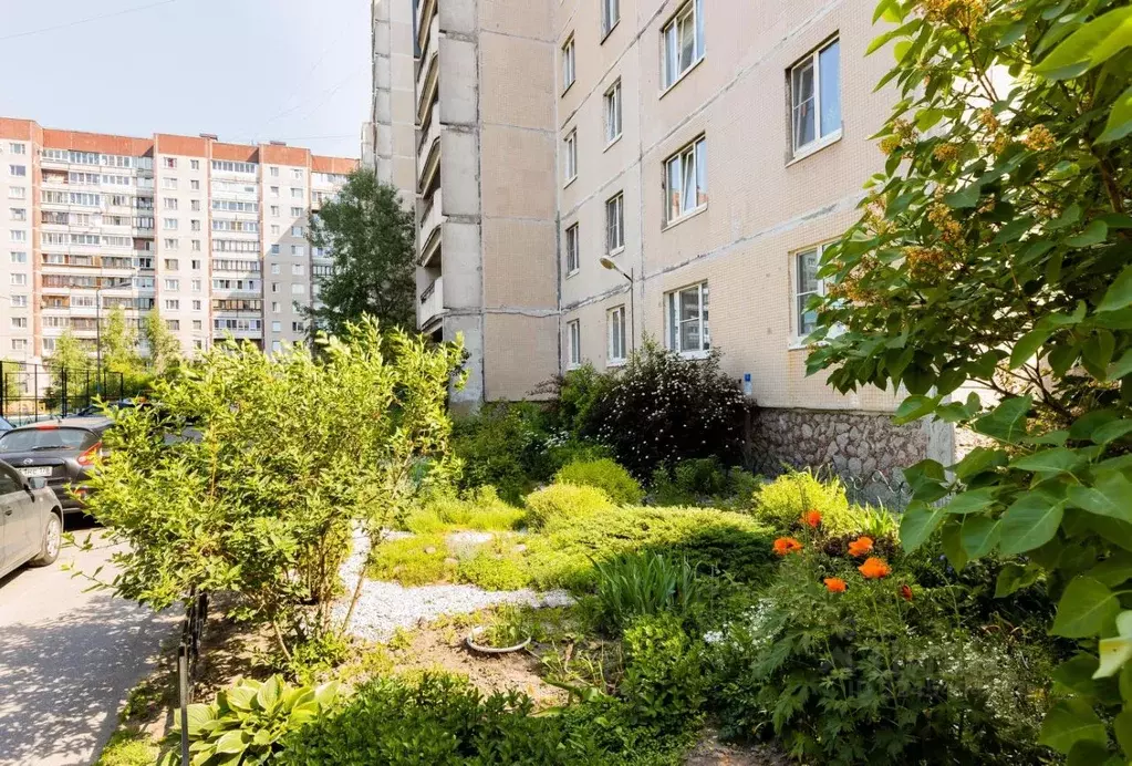 Комната Санкт-Петербург просп. Сизова, 14 (15.4 м) - Фото 2