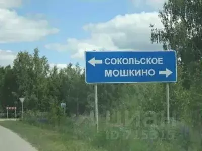 Участок в Нижегородская область, Сокольский городской округ, ... - Фото 0