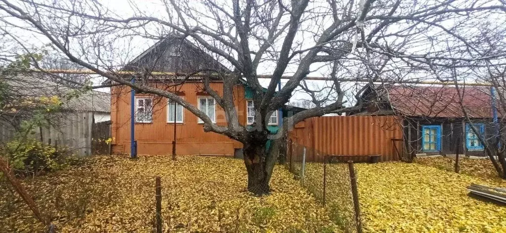 Дом в Белгородская область, Волоконовский район, Покровское с/пос, ... - Фото 0