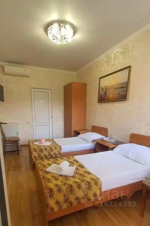 Комната Краснодарский край, Сочи ул. Куйбышева, 56 (14.0 м) - Фото 1