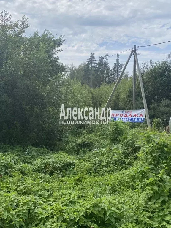 Участок в Ленинградская область, Приозерский район, Плодовское с/пос, ... - Фото 1