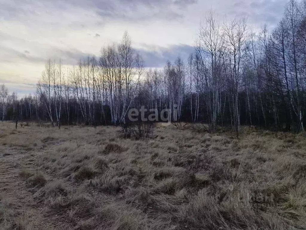 Участок в Тамбовская область, Тамбовский муниципальный округ, с. ... - Фото 1