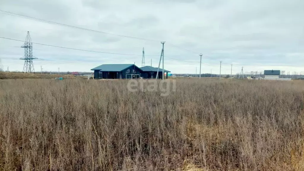 Участок в Тамбовская область, Тамбовский муниципальный округ, д. ... - Фото 0