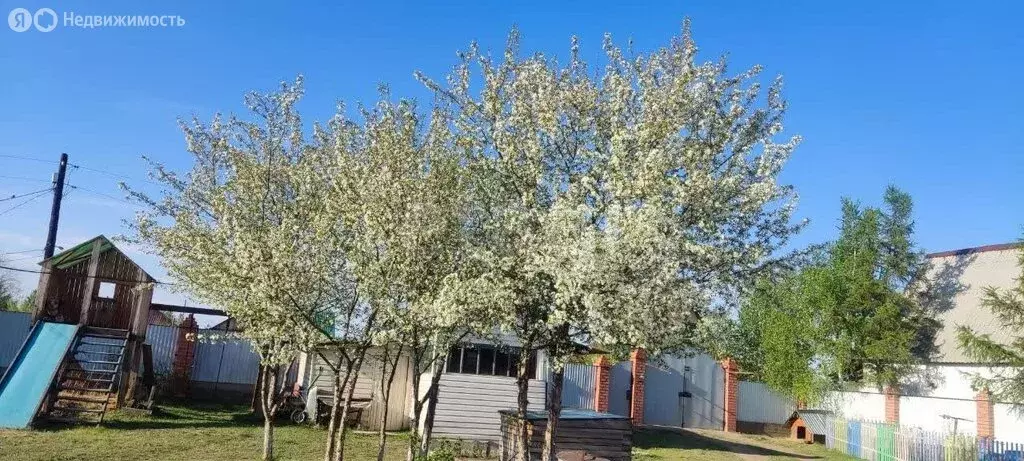 Участок в Чита, СОТ № 126 Тонус (7 м) - Фото 1