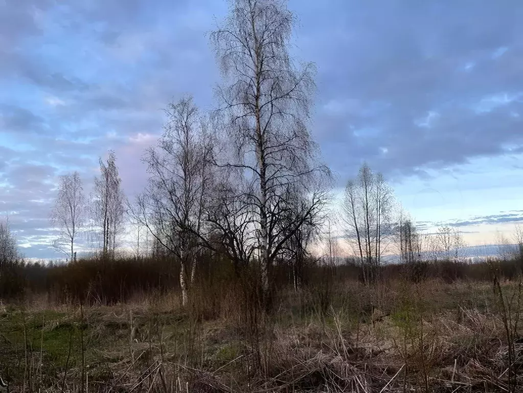Участок в Ленинградская область, Всеволожск ул. Рубцова, 57 (7.0 сот.) - Фото 1