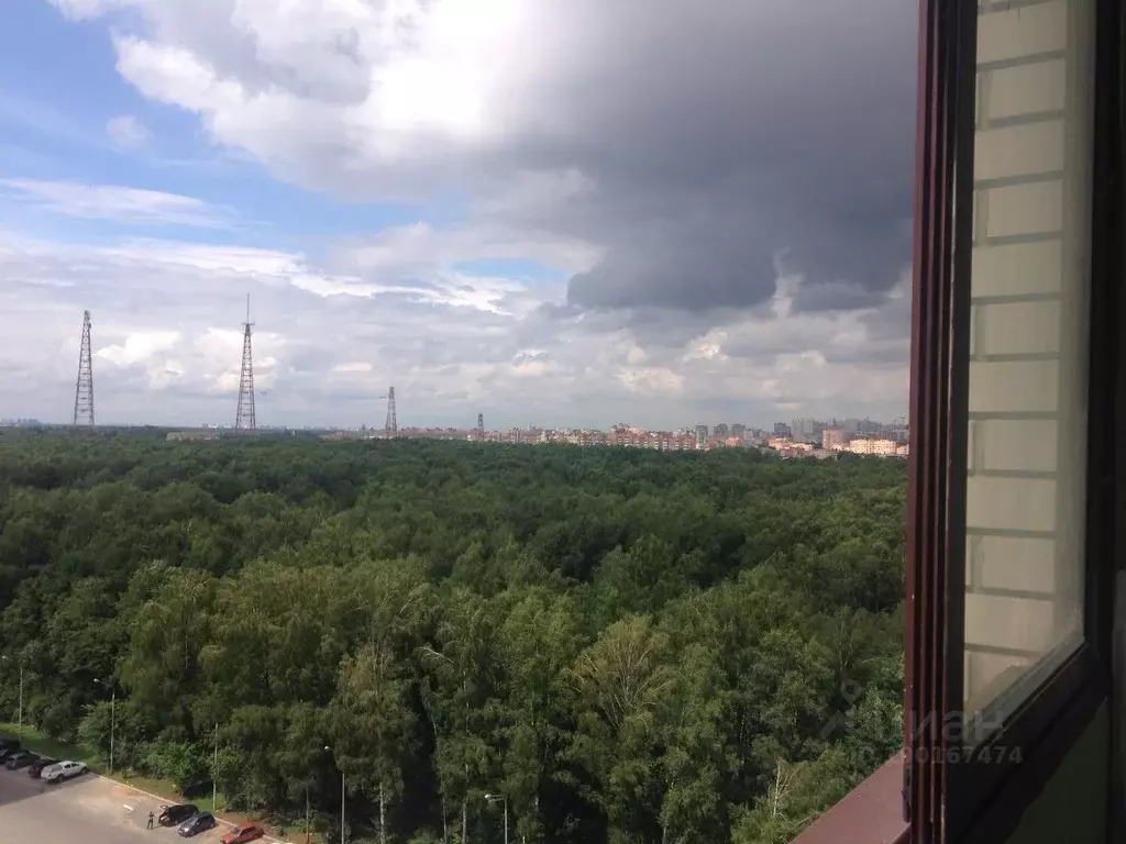 1-к кв. Московская область, Красногорск городской округ, д. Путилково ... - Фото 2