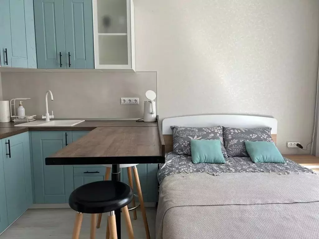 Студия Тверская область, Тверь ул. С.Я. Лемешева, 6 (25.0 м) - Фото 2