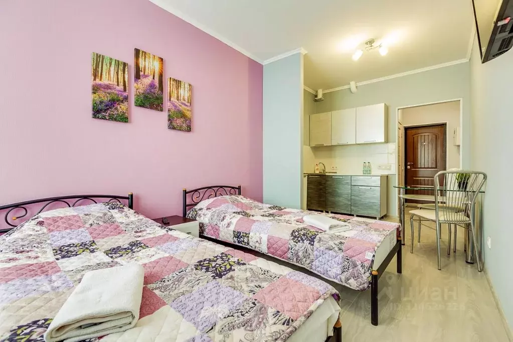 1-к кв. Ленинградская область, Никольское Тосненский район, ... - Фото 1