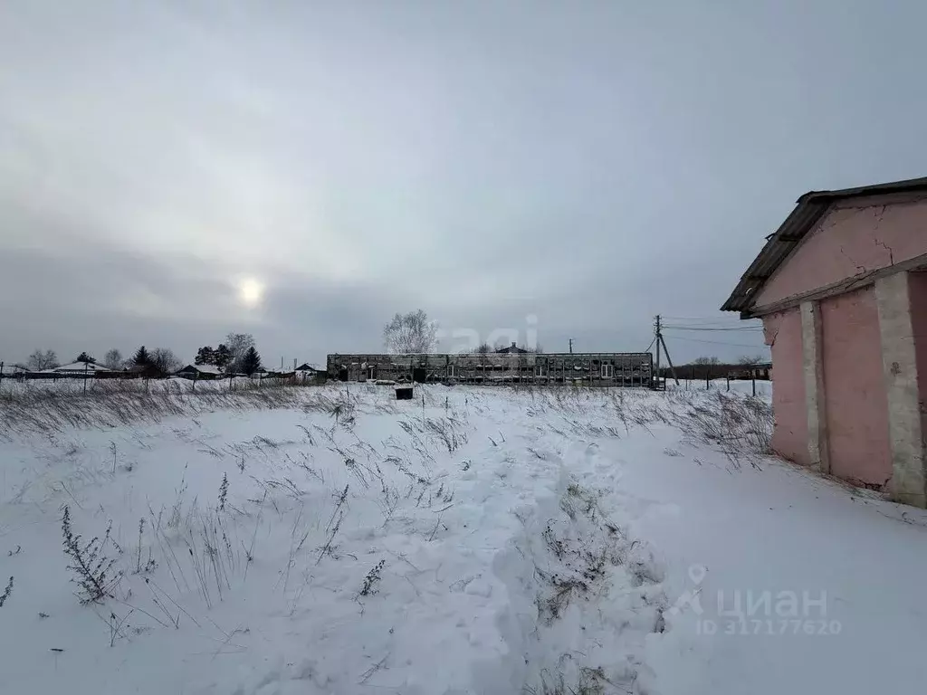 Участок в Амурская область, Благовещенский район, с. Новотроицкое ул. ... - Фото 0