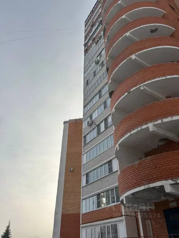 2-к кв. Курская область, Курск ул. Челюскинцев, 25 (55.8 м) - Фото 2