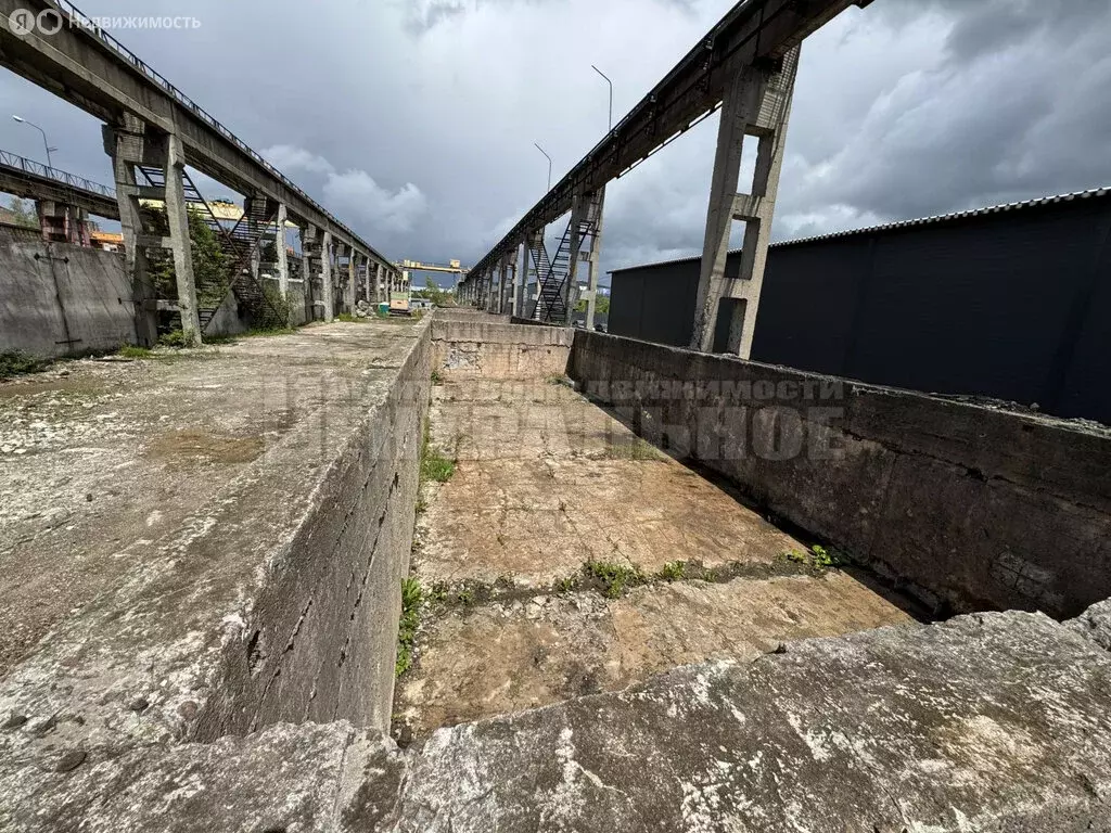 Помещение свободного назначения (1888.8 м) - Фото 1