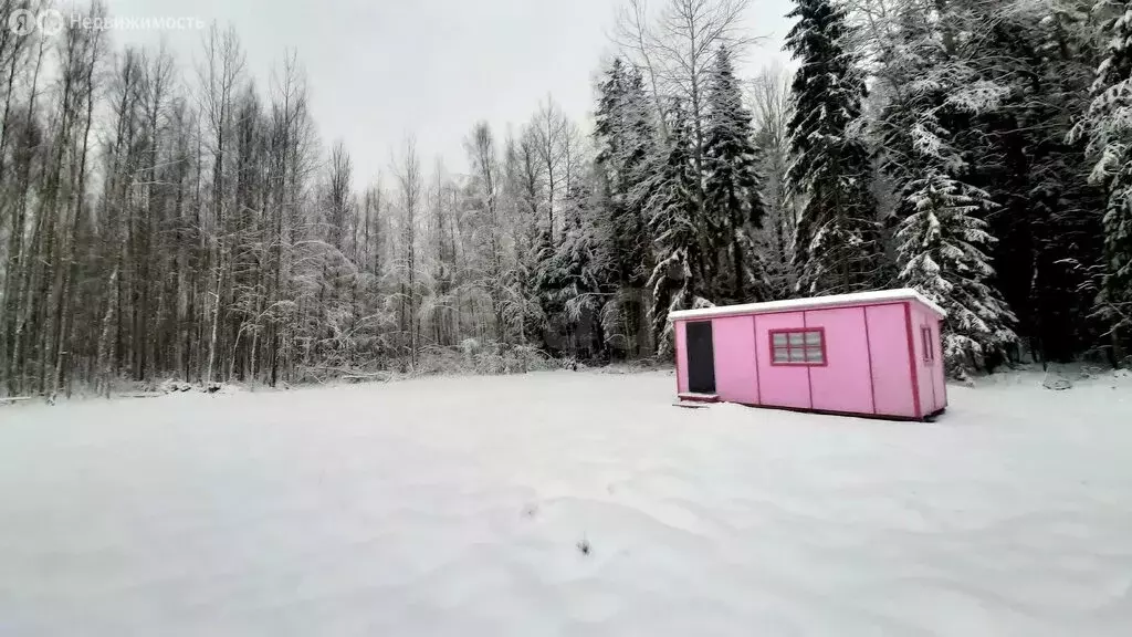 Участок в Будогощское городское поселение, садоводческое товарищество ... - Фото 1