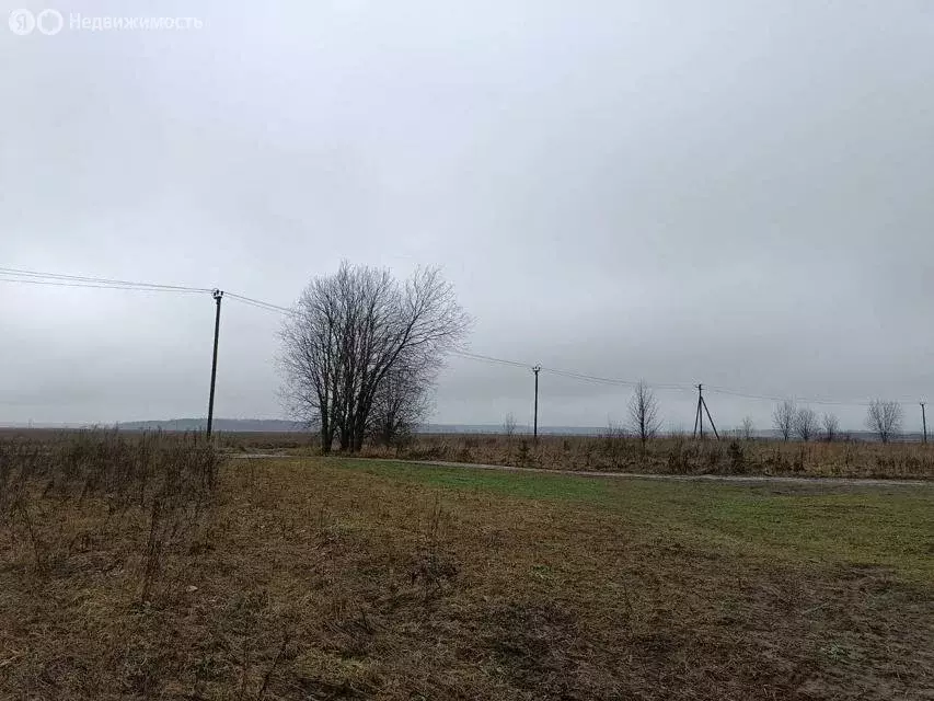 Участок в Волосовский район, Калитинское сельское поселение, деревня ... - Фото 2