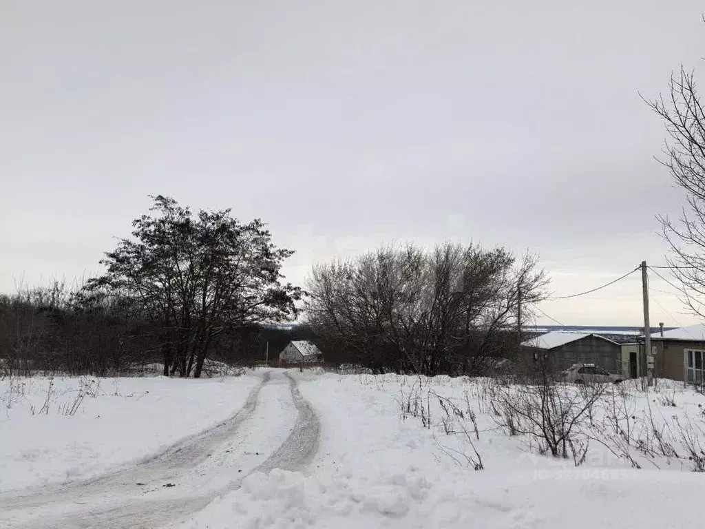 Участок в Курская область, Курский район, Щетинский сельсовет, д. ... - Фото 1