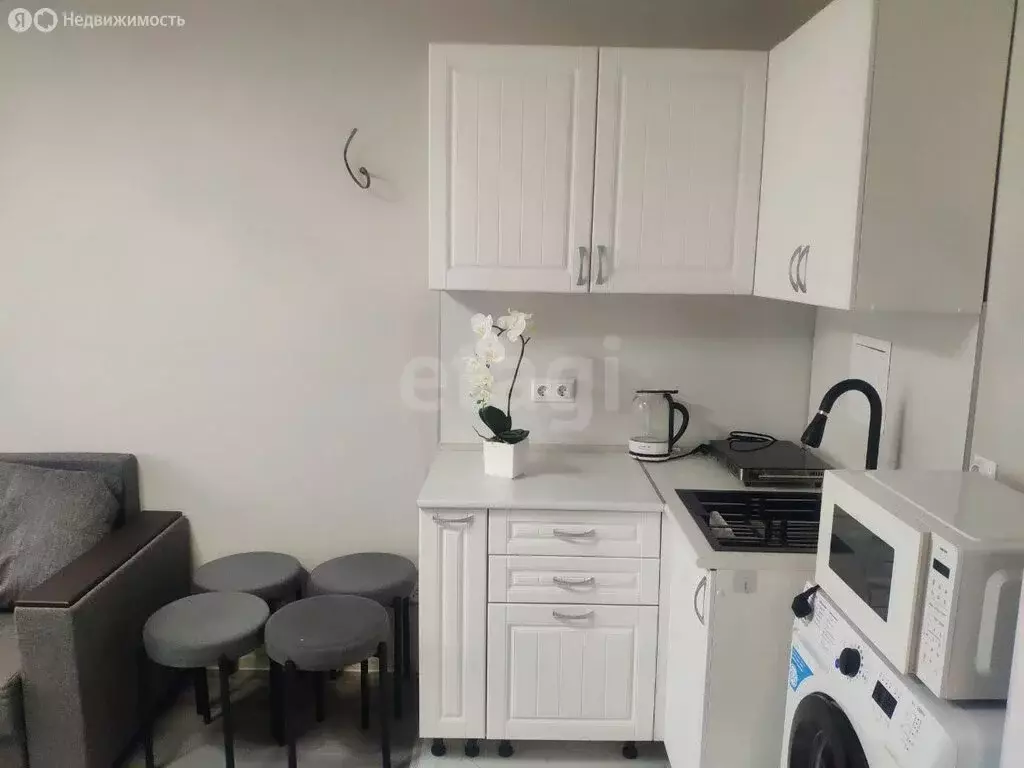 Квартира-студия: Анапа, улица Ленина, 239 (23.9 м) - Фото 1