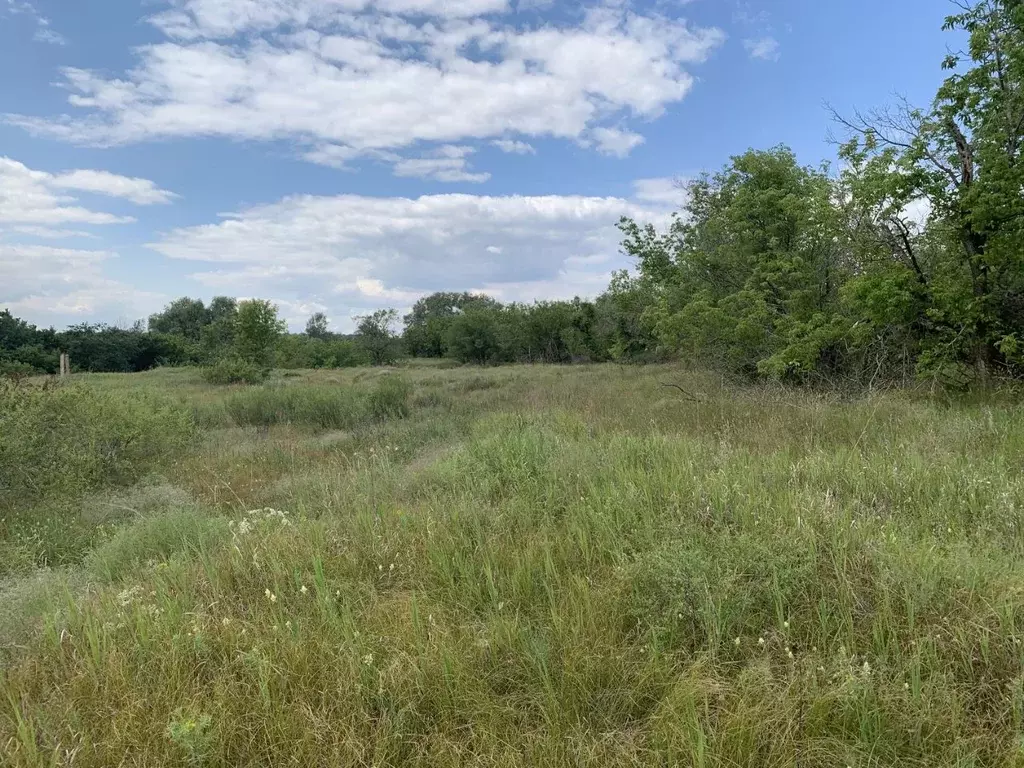 Участок в Самарская область, Красный Яр с/пос  (14.0 сот.) - Фото 1