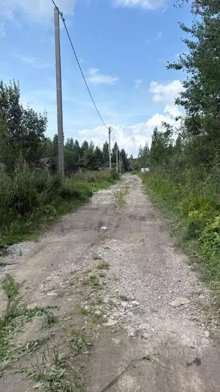 Участок в Вологодская область, Вологда аллея 12-я (6.0 сот.) - Фото 1