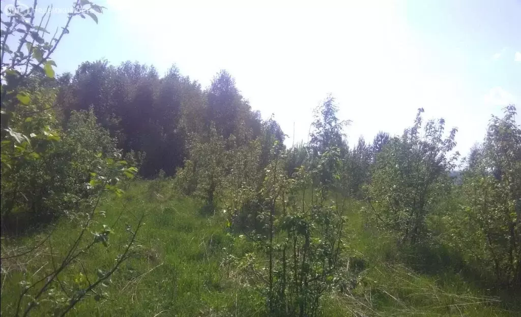 Участок в деревня Новотроицк, Школьная улица (15 м) - Фото 1