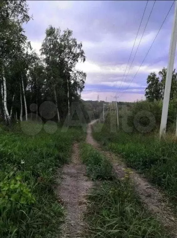 Участок 10 сот. (СНТ, ДНП) - Фото 0