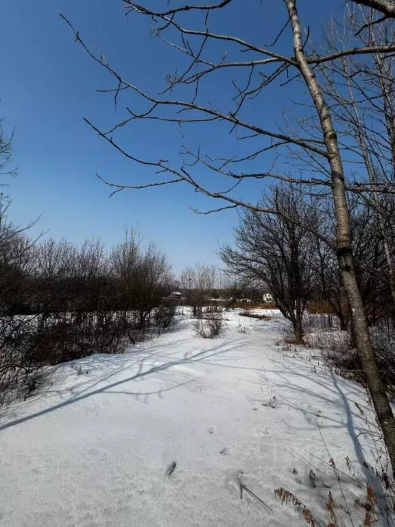 Участок в Хабаровский край, Хабаровский район, Ильинка с/пос, с. ... - Фото 2