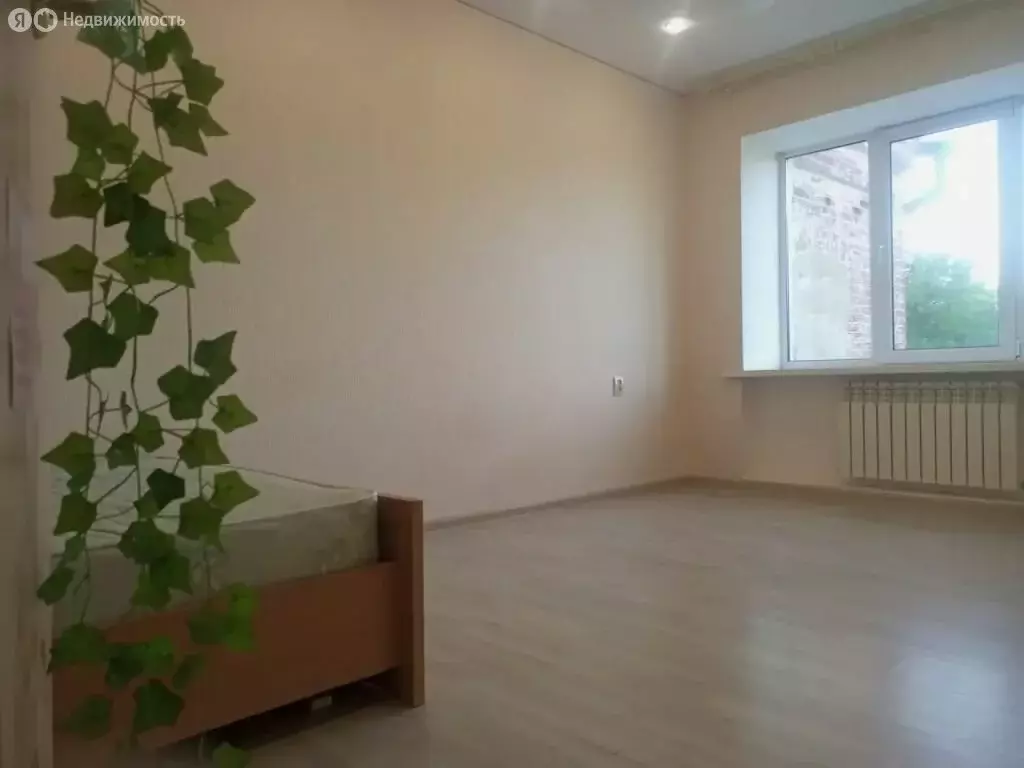 1-комнатная квартира: Арзамас, улица Владимирского, 31 (30.5 м) - Фото 1