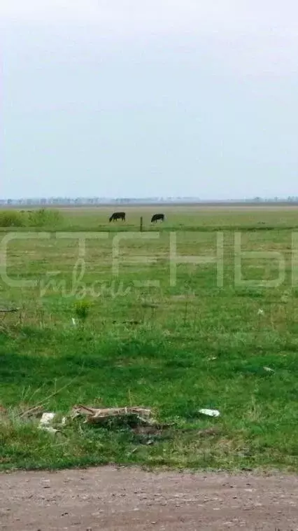 2-к кв. Амурская область, Благовещенский район, с. Дроново Новый пер., ... - Фото 2