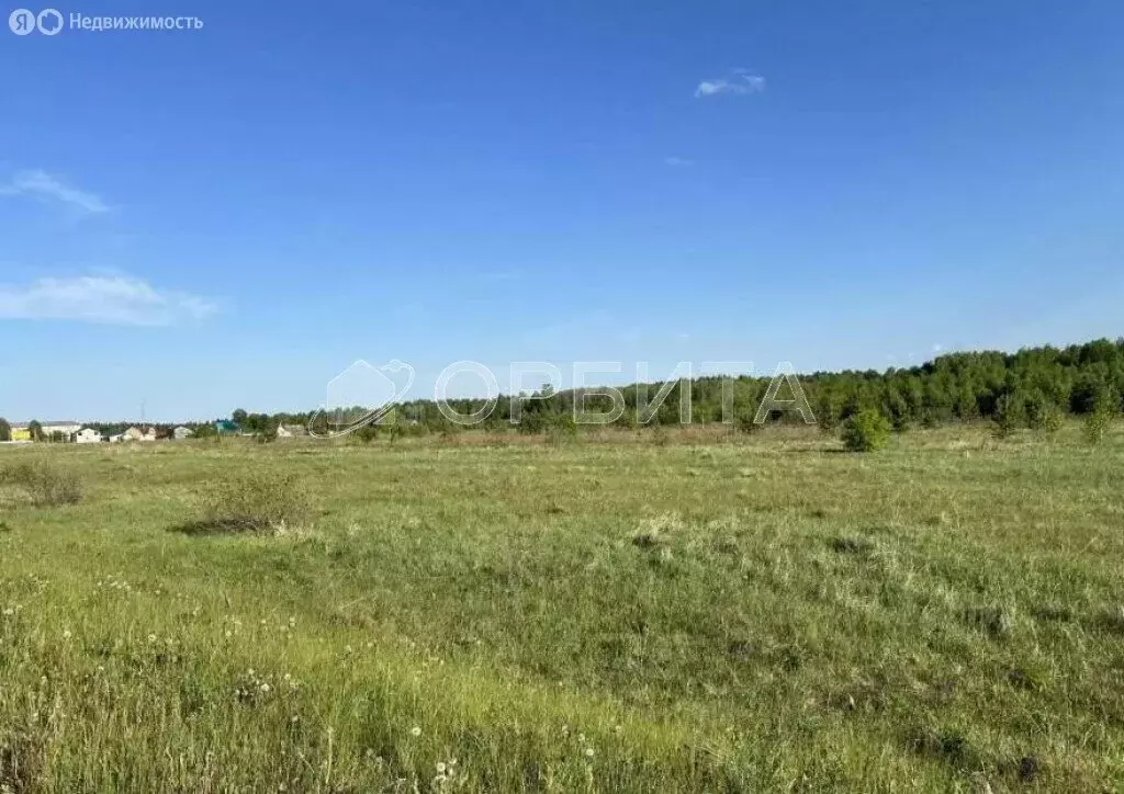 Участок в Нижнетавдинский район, село Бухтал (10 м) - Фото 1