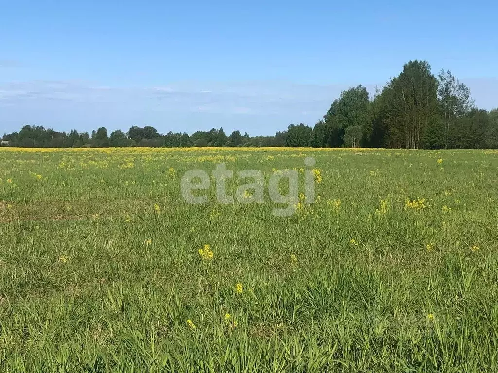 Участок в Костромская область, Красное-на-Волге городское поселение, ... - Фото 1