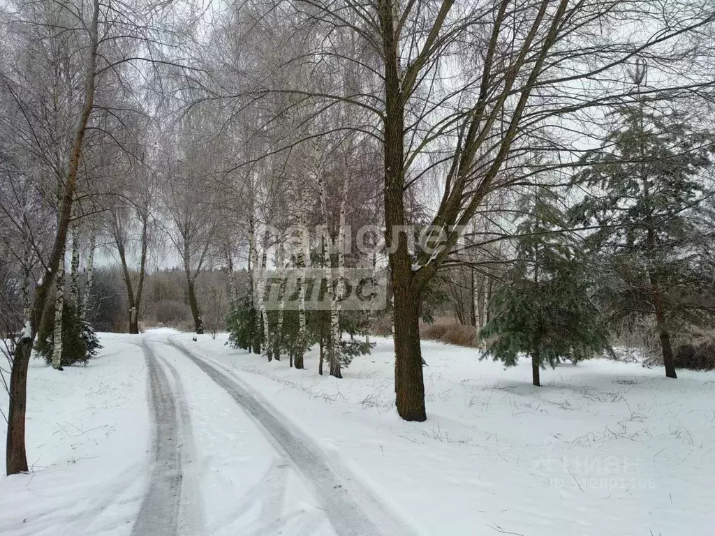 Участок в Московская область, Воскресенск городской округ, д. Бочевино ... - Фото 0