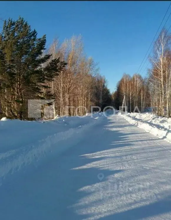 Участок в Новосибирская область, Мошковский район, Индия кп, ... - Фото 0