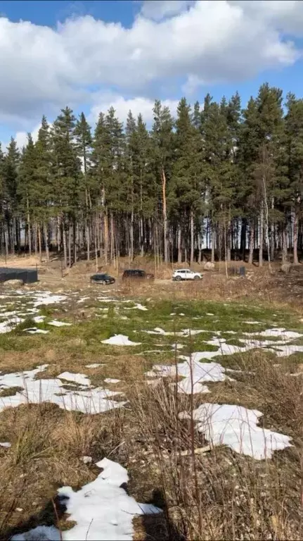 Участок в Ленинградская область, Приозерский район, Петровское с/пос, ... - Фото 1