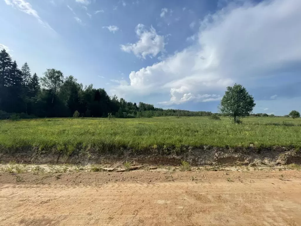 Участок в Московская область, Шаховская муниципальный округ, д. ... - Фото 1