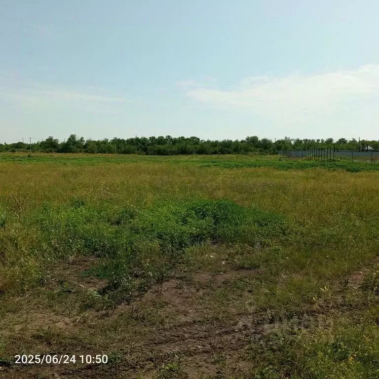 Участок в Оренбургская область, Оренбургский район, пос. Весенний ул. ... - Фото 0