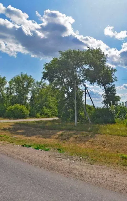 Участок в Воронежская область, с. Новая Усмань, Ольха мкр  (100.0 ... - Фото 1