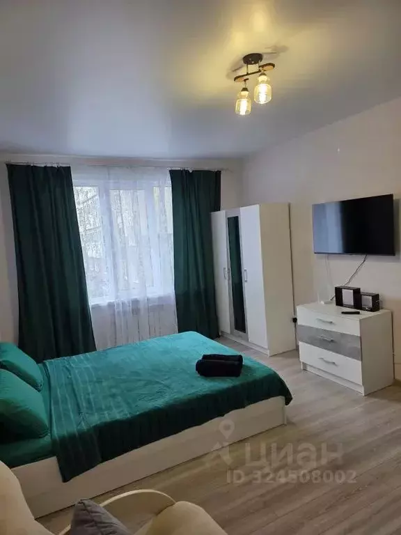 1-к кв. Сахалинская область, Южно-Сахалинск Больничная ул., 2к7 (40.0 ... - Фото 1