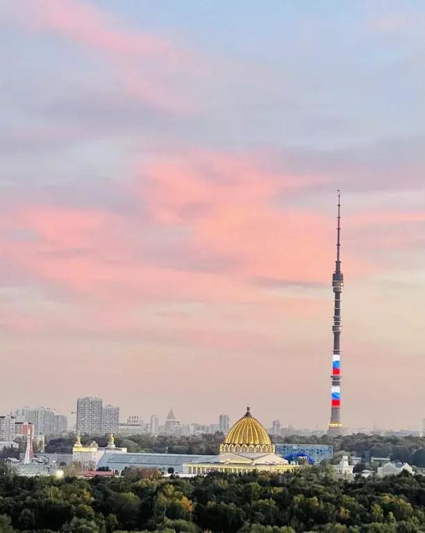 Студия Москва Березовая аллея, 19к1 (25.2 м) - Фото 2
