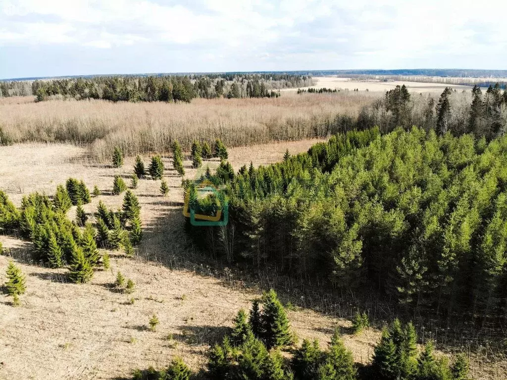 Участок в Ленинградская область, Гатчинский муниципальный округ, ... - Фото 2