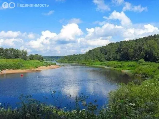 Дом в село Климов Завод, Заречная улица, 12 (62 м) - Фото 0