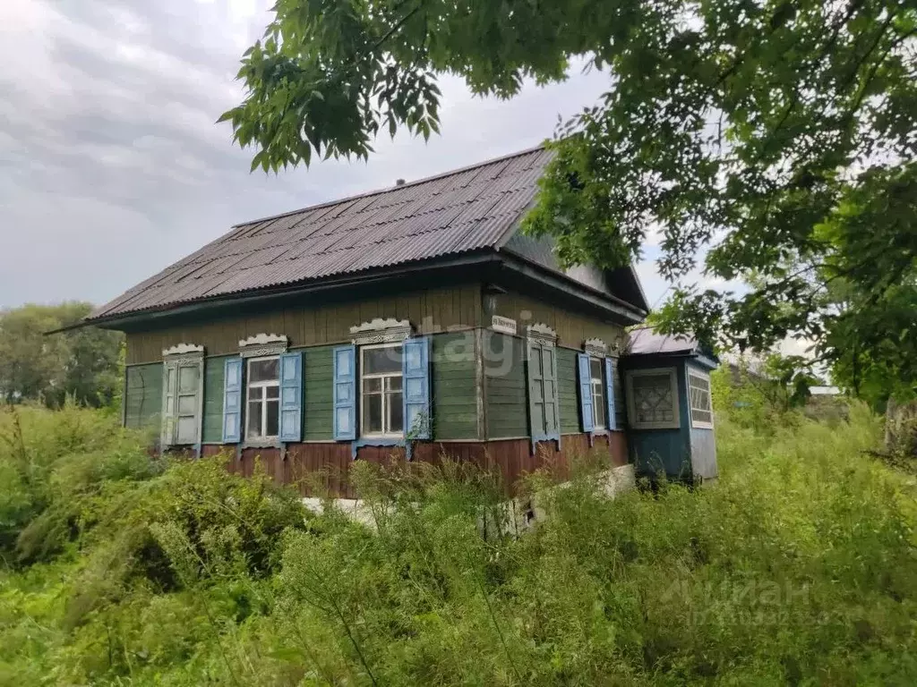 Дом в Хабаровский край, Вяземский Вяземская ул., 14 (37 м) - Фото 1