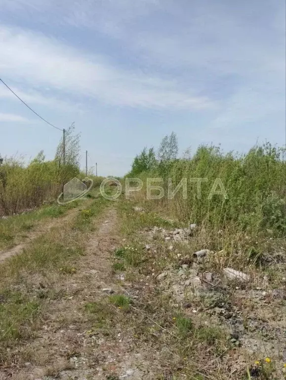 Участок в Тюменская область, Тюмень Матрешка СНТ,  (15.0 сот.) - Фото 1