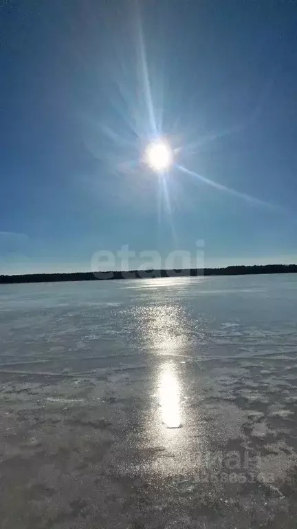 Участок в Нижегородская область, Навашинский муниципальный округ, с. ... - Фото 2