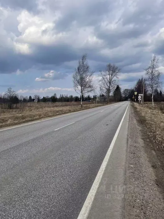 Участок в Ленинградская область, Гатчинский муниципальный округ, д. ... - Фото 2