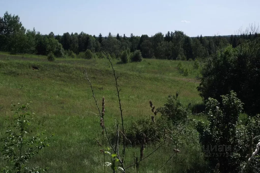 Участок в Тверская область, Торжокский муниципальный округ, Яконовское ... - Фото 2
