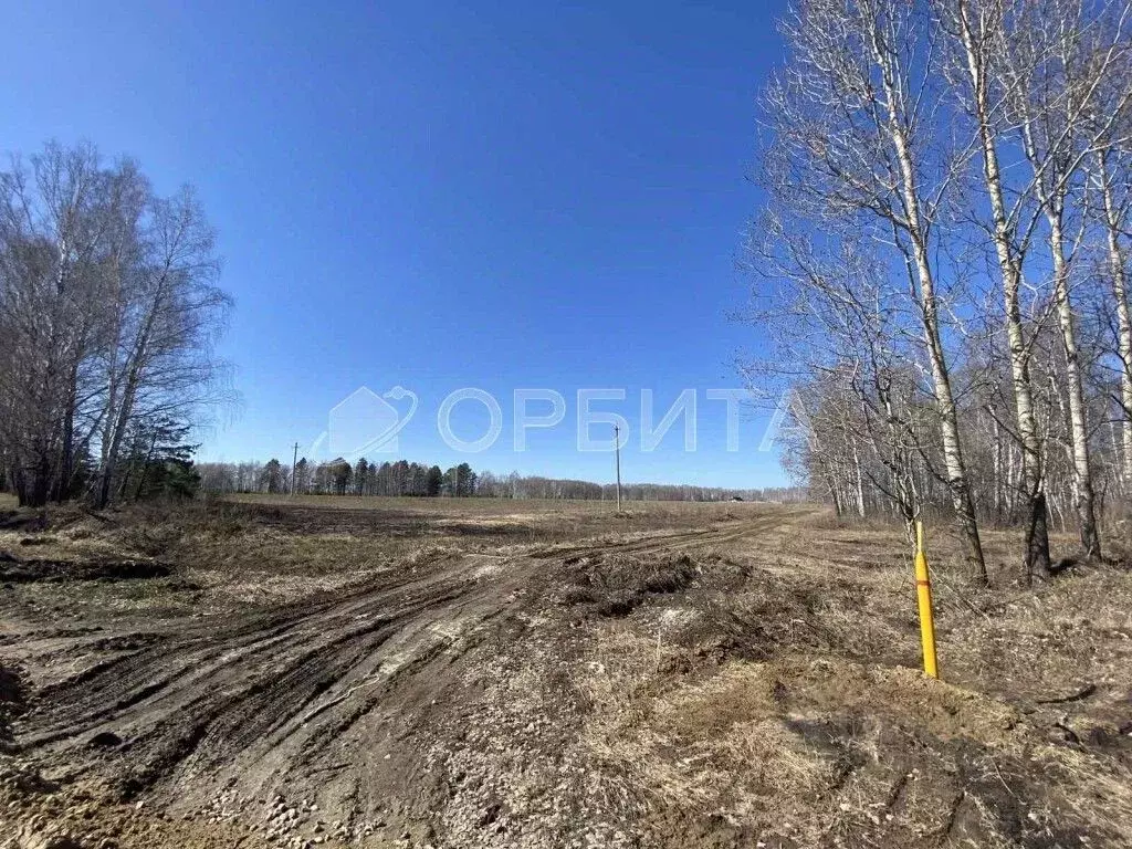 Участок в Тюменская область, Тюменский район, д. Ушакова Зеленая ул. ... - Фото 1